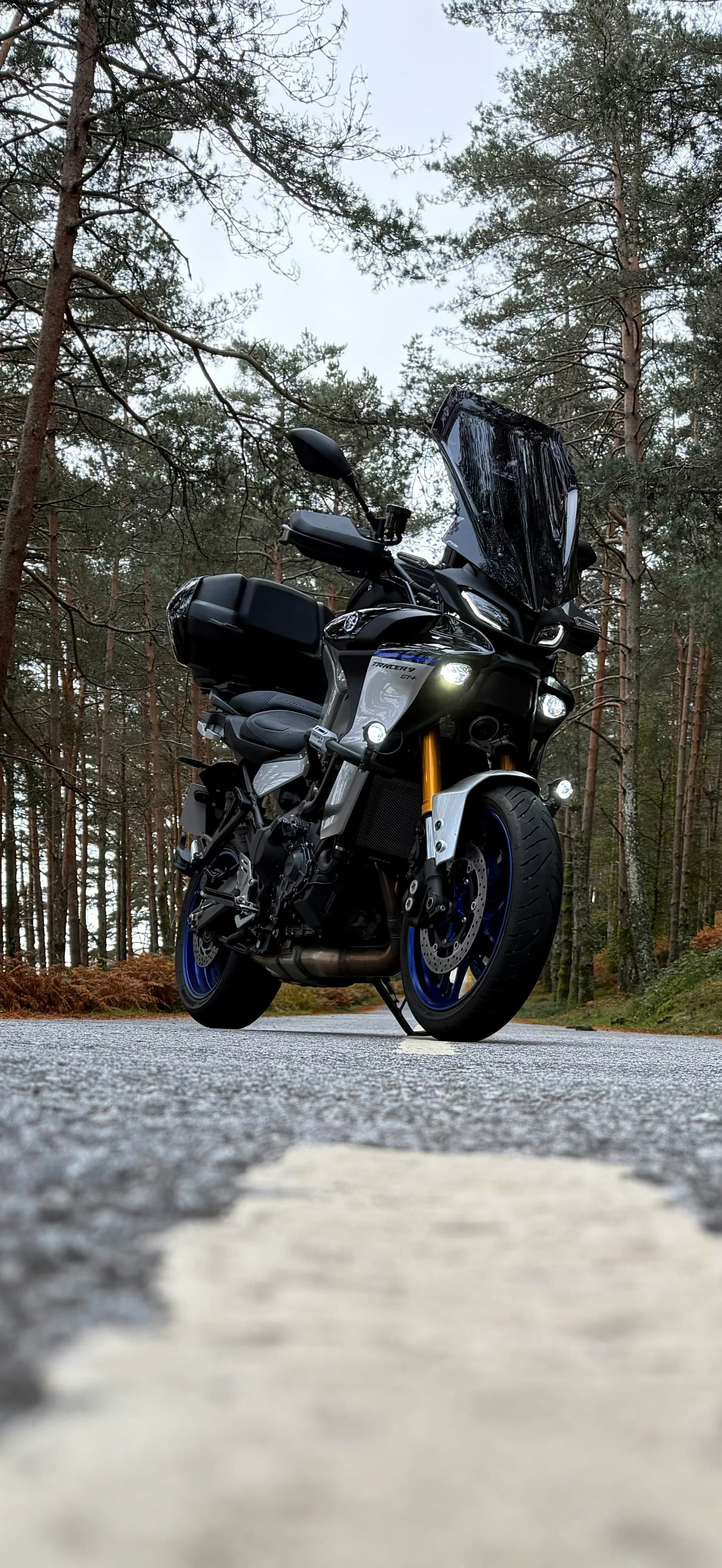 A sport-touring motorcycle with luggage parked on a road through pine forest
