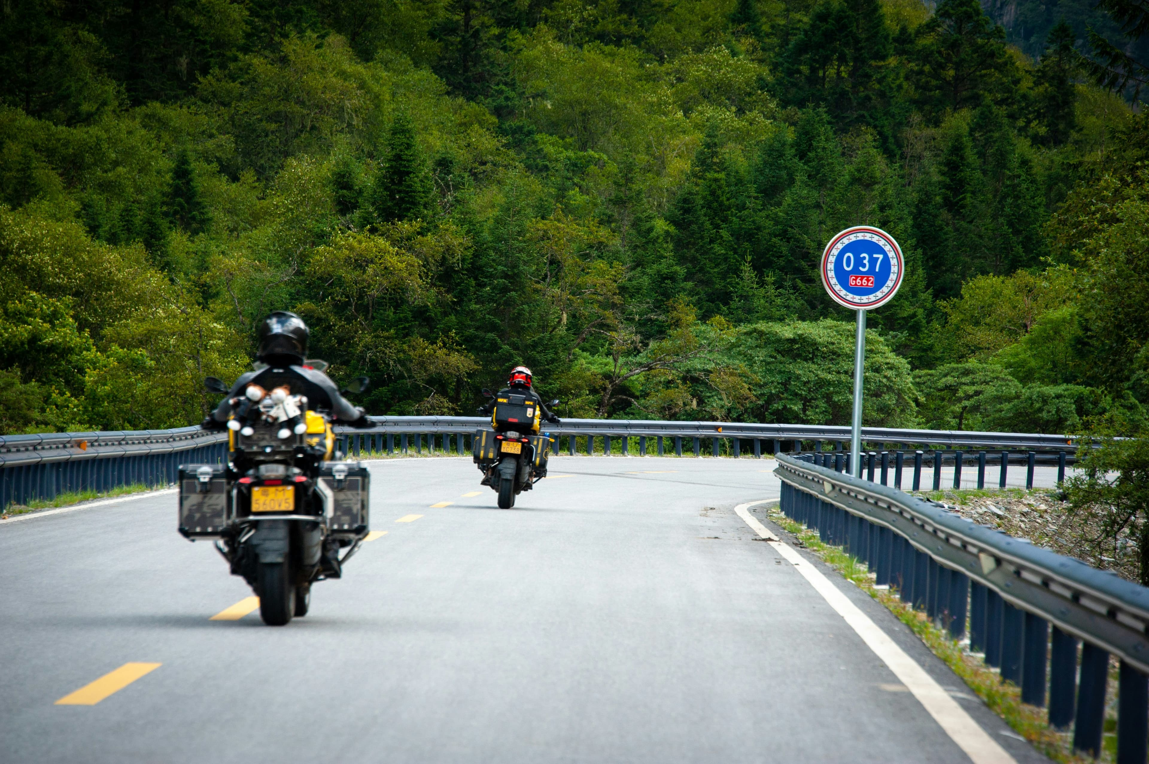 Two adventure bikes with panniers riding away along a forest highway